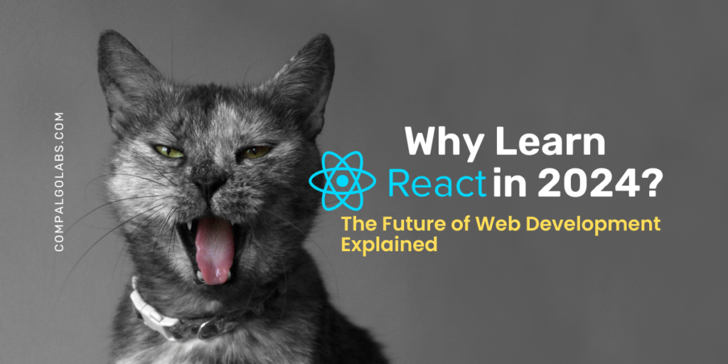 Why Learn React in 2024? The Future of Web Development Explained | compalgo labs